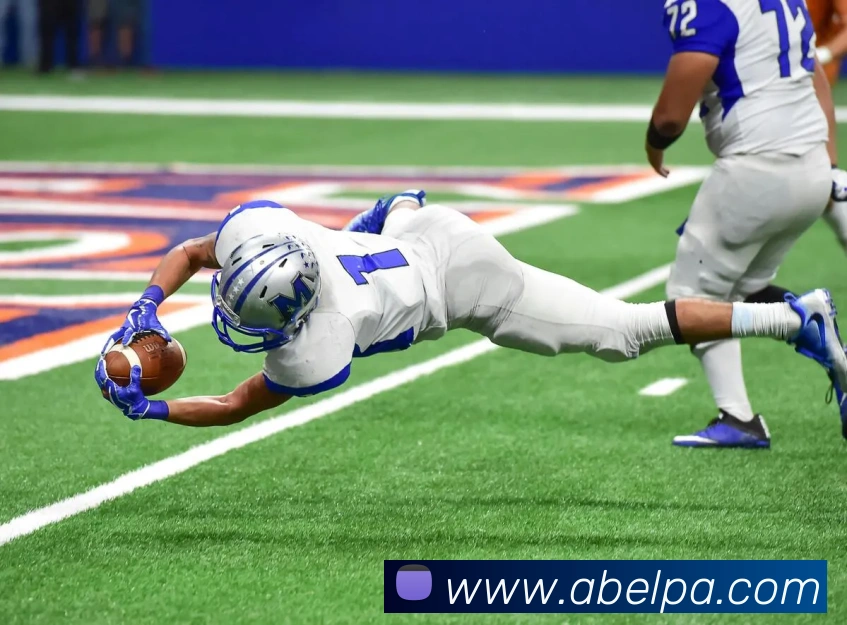 pa视讯APP 封面图